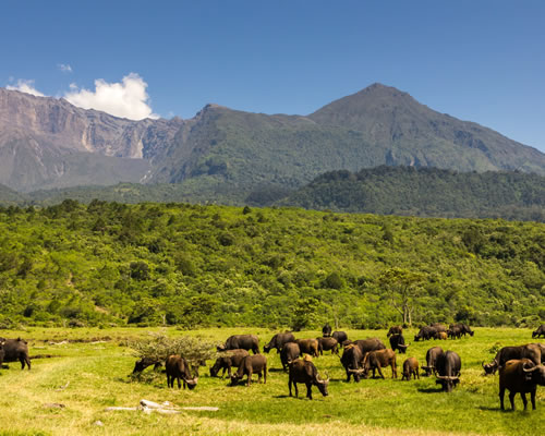 Arusha National Park