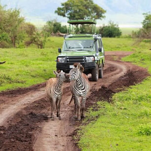 Arusha National Park