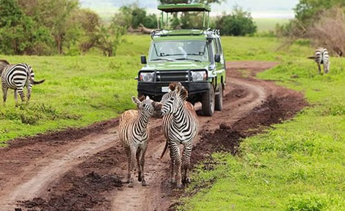 Arusha National Park