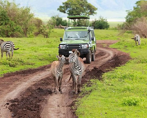 Arusha National Park
