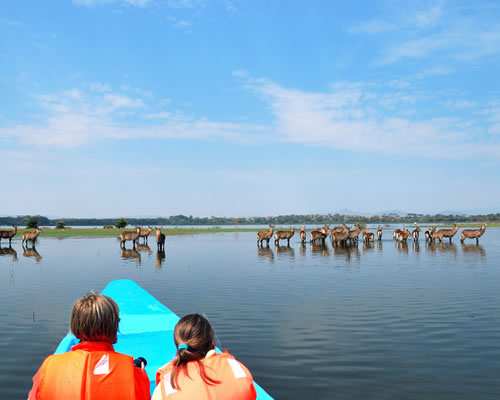 Lake Naivasha