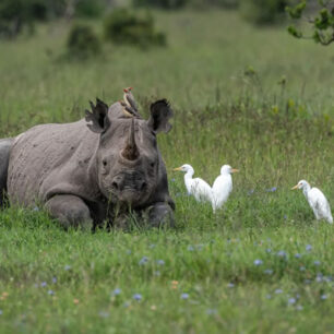 Lake Nakuru National Park
