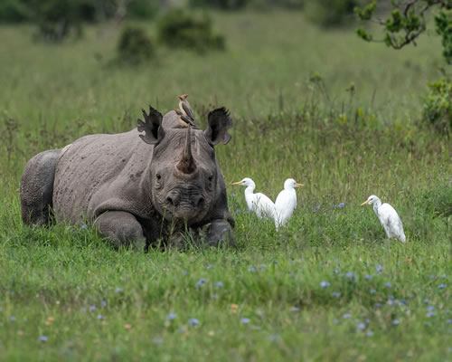 Lake Nakuru National Park