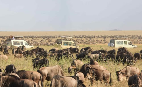 Nyerere National Park