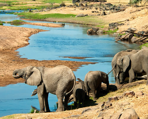 Ruaha National Park