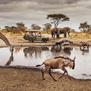 Serengeti National Park