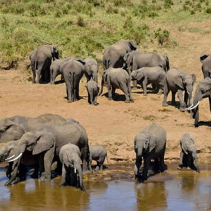 Tarangire National Park