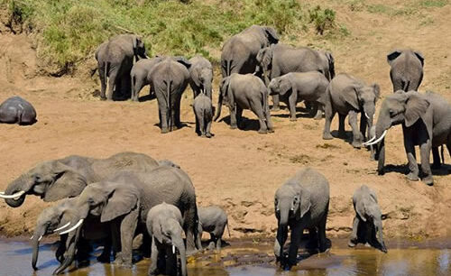 Tarangire National Park