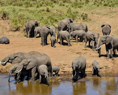 Tarangire National Park