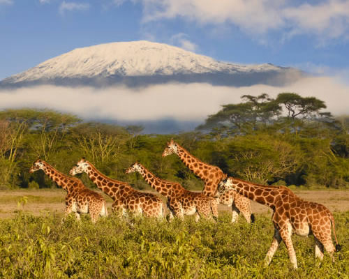 Tsavo East National Park