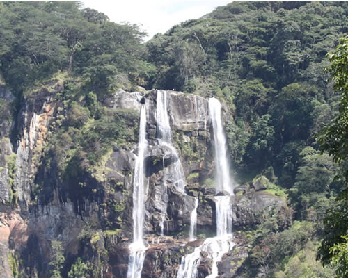 Udzungwa Mountains National Park