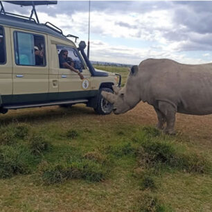 Ol Pejeta Conservancy