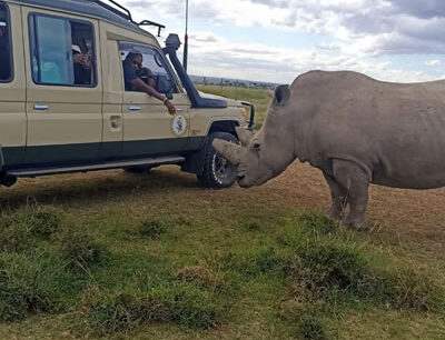 Ol Pejeta Conservancy