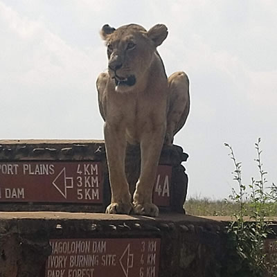 Nairobi National park