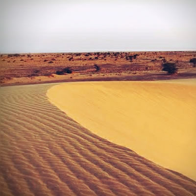 Chalbi Desert Expedition