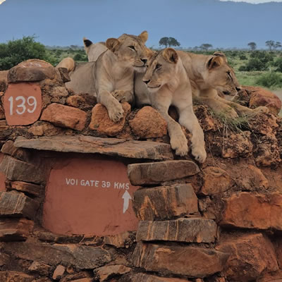 Tsavo West National Park
