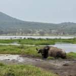 Lake Nakuru National Park