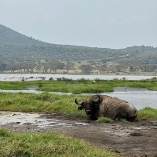 Lake Nakuru National Park
