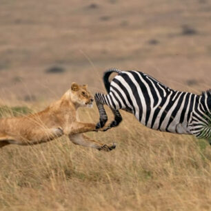 Kenya