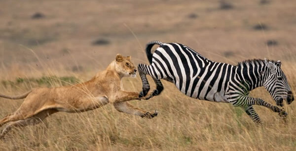 Kenya