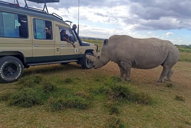 Ol Pejeta